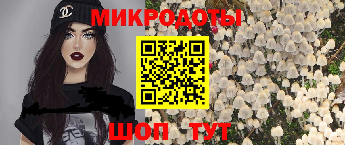 Галлюциногенные грибы Psilocybe Белгород