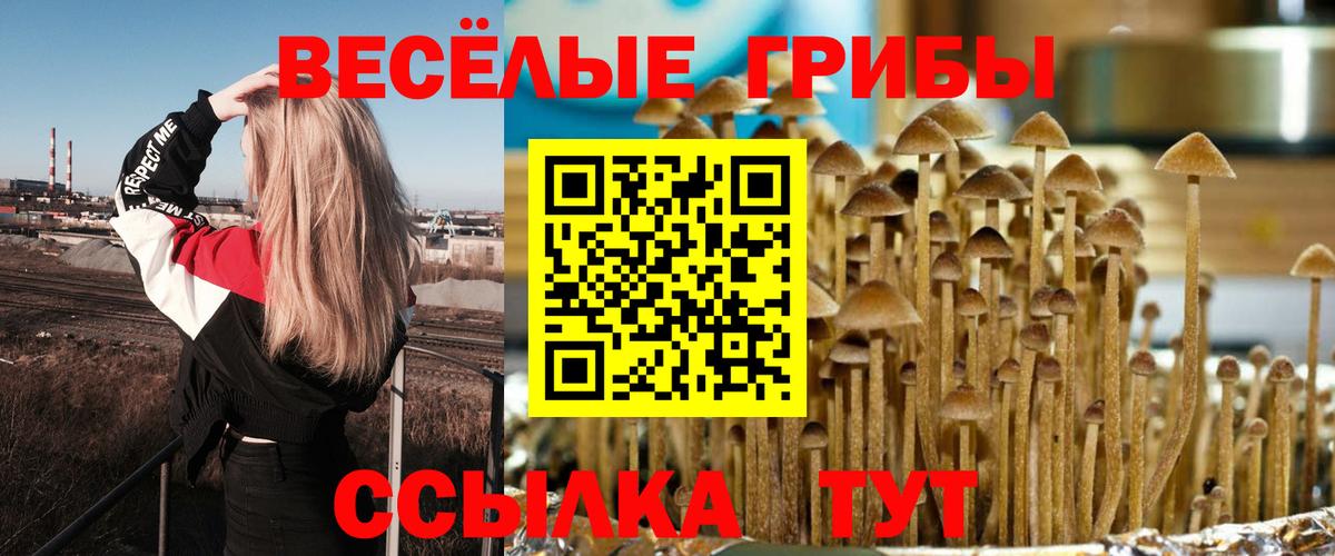 Белгород  Псилоцибиновые грибы MAGIC MUSHROOMS  Вход с VPN  Псилоцибиновые грибы Psilocybe 